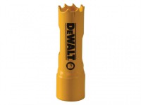 DeWalt Holesaws & Mandrels