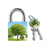 Master Lock 30mm Solid Body Padlock Tree Design