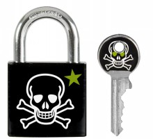 Master Lock 30mm Solid Body Padlock Skull Design