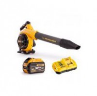 DeWalt Blowers & Vacs