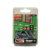 (NO LONGER AVAILABLE) 30xMULTI FIXING-2NYL 6mm 6x30